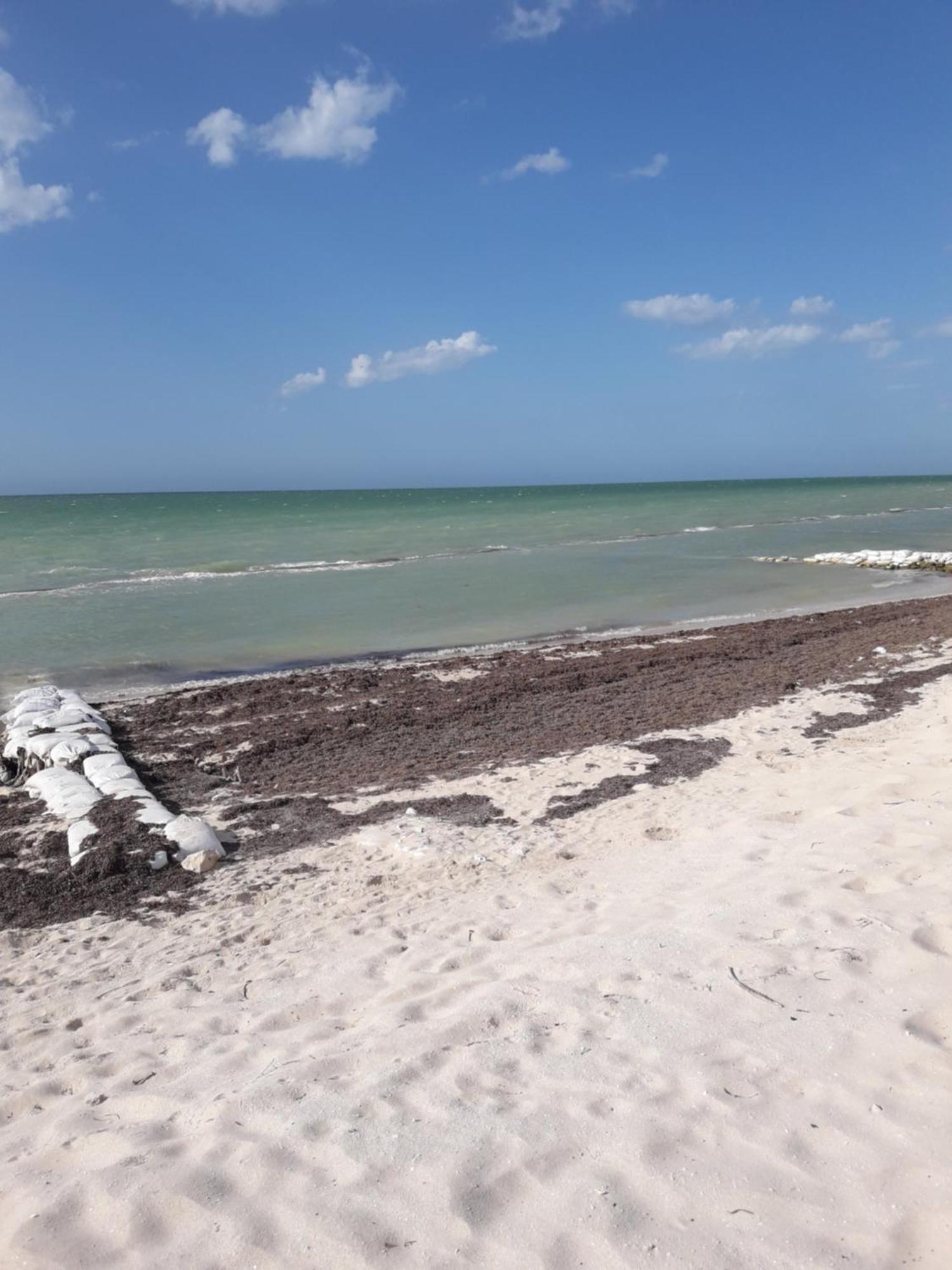 Casa Pepe Vacation Rental Progreso Progreso  Exterior photo